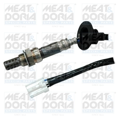 Oxygen Sensor